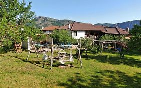 Старото гнездо